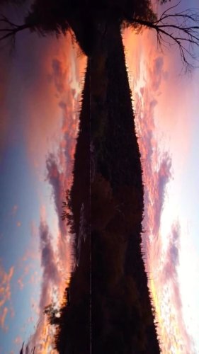 Video post from visittucson.