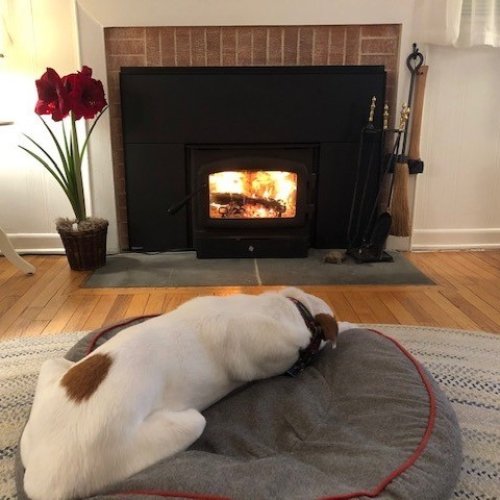 Photo post from regencyfire.