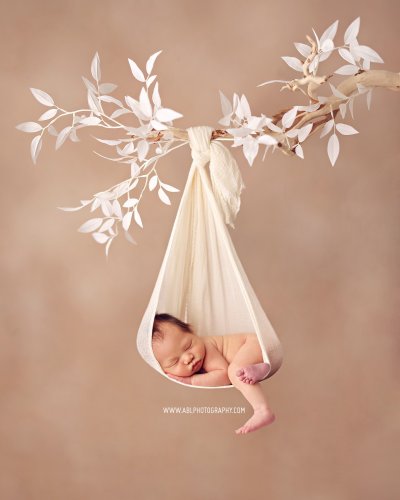 Photo post from abl_photography_sandiego.