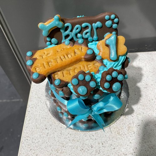 Carousel post from k9playtimedoggydaycare.