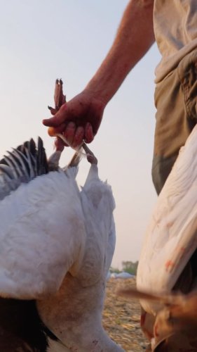 Video post from northernskiesoutfitters.