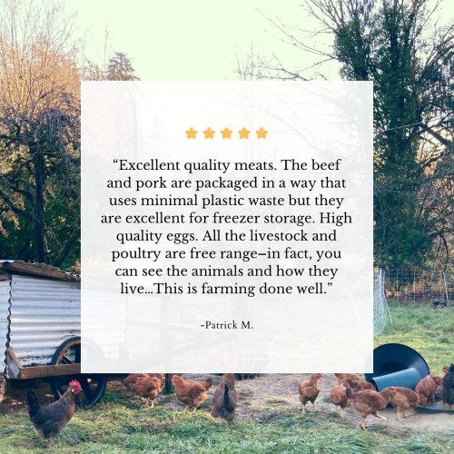 Photo post from hungryhollowfarm.