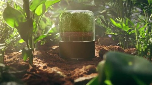 Video post from briiv.natural.
