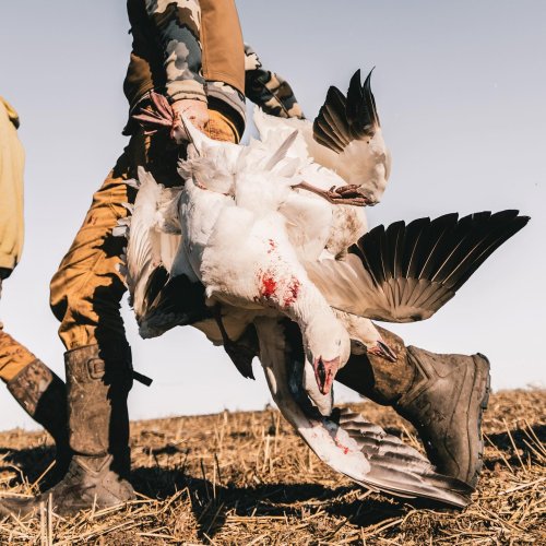 Photo post from northernskiesoutfitters.