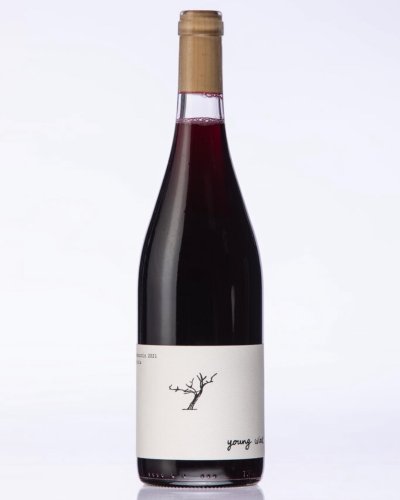 Carousel post from dandywineshop.