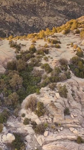 Video post from visittucson.