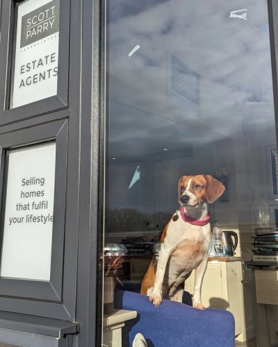 Carousel post from scott.parry.associates.