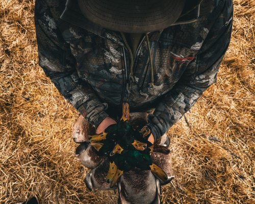 Carousel post from northernskiesoutfitters.