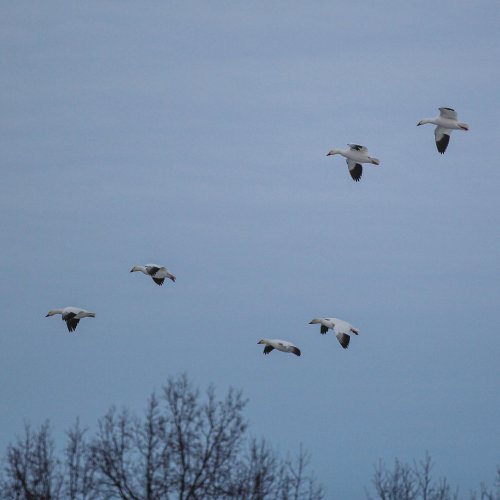 Photo post from northernskiesoutfitters.