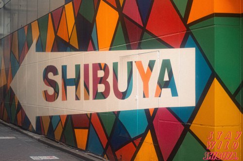 Photo post from play_shibuya.