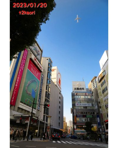 Photo post from t2kaori.