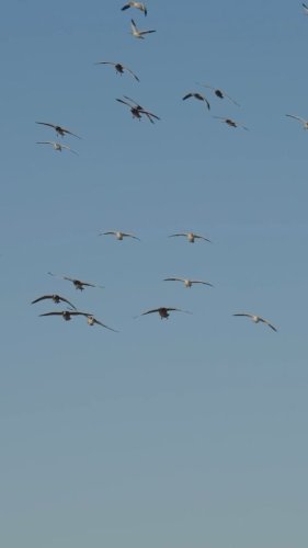 Video post from northernskiesoutfitters.