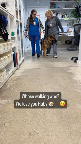 Video post from familyanimalhospitalcm.