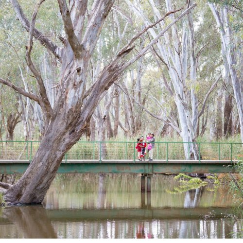 Photo post from visitalburywodonga.