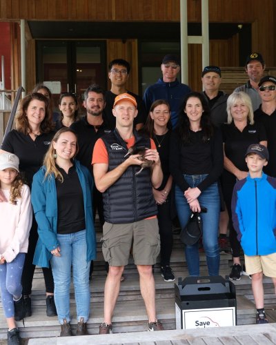 Carousel post from comvita_nz.