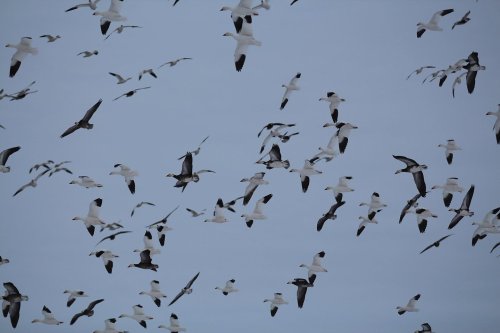 Photo post from northernskiesoutfitters.