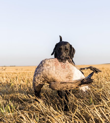 Photo post from northernskiesoutfitters.