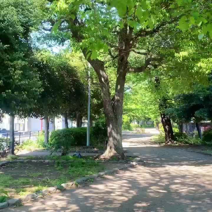 Carousel post from city_shibuya_official.
