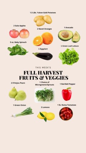 Video post from farmbox_arizona.