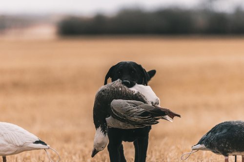 Photo post from northernskiesoutfitters.