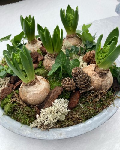 Photo post from blomsterborsen.