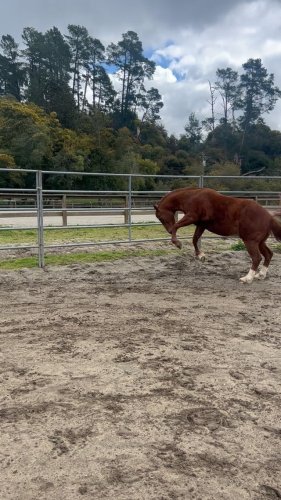 Video post from __amber_lydic__.