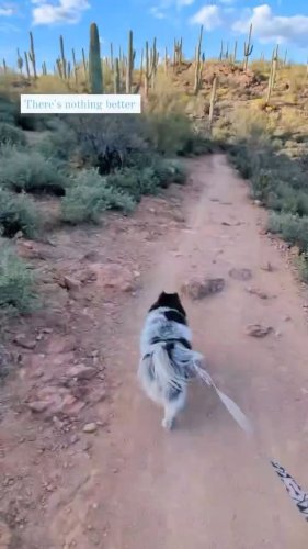 Video post from visittucson.