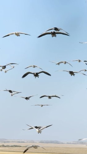 Video post from northernskiesoutfitters.