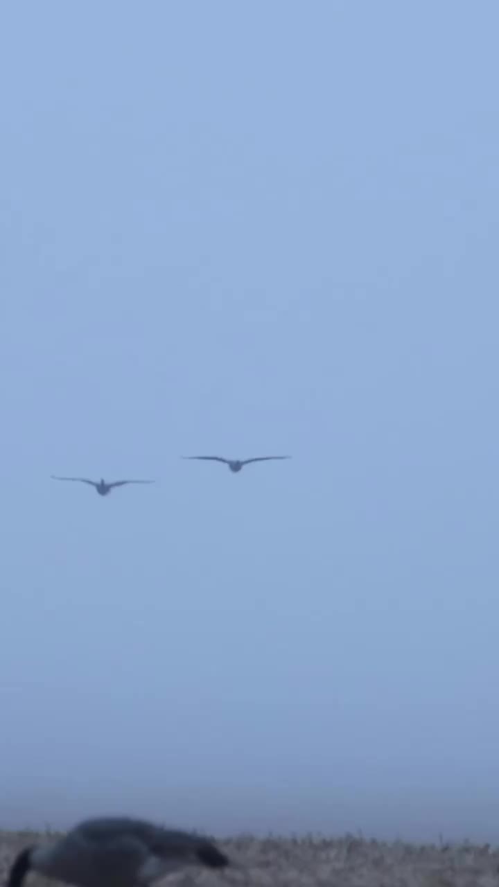 Video post from northernskiesoutfitters.