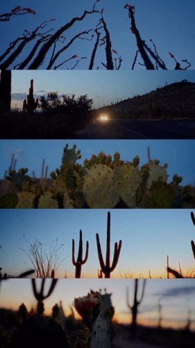 Video post from visittucson.