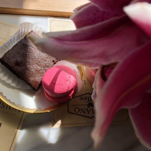 Photo post from equianocoffee.