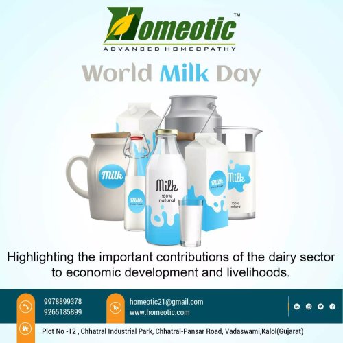 Photo post from homeotic_international.