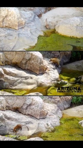 Video post from visittucson.