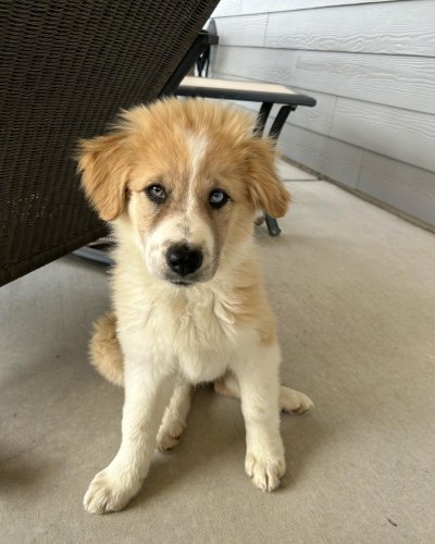 Photo post from annelizabethjewelry.