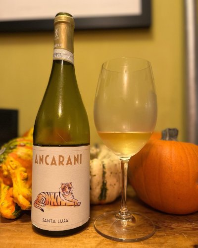 Photo post from dandywineshop.