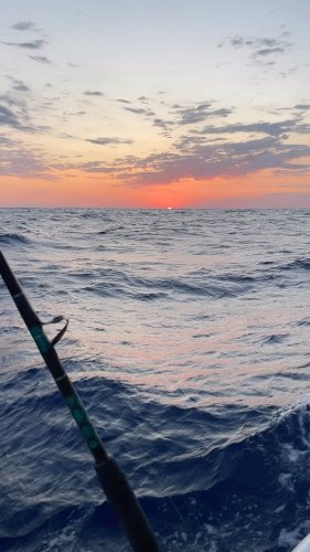 Video post from ejs_fishing_charters.