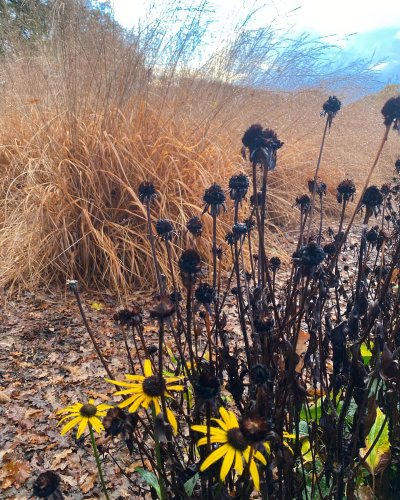 Photo post from sussexprairies.