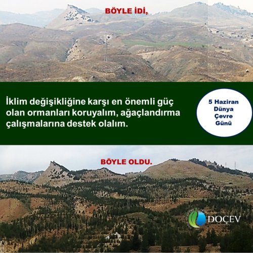 Photo post from dogavecevrevakfi.