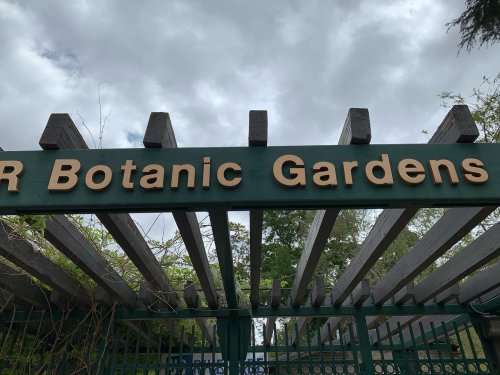 Photo post from ucrbotanicgardens.