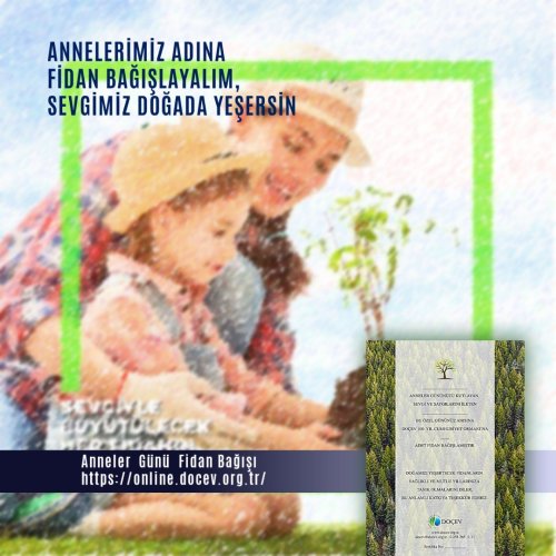 Photo post from dogavecevrevakfi.