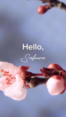 Video post from universaltraveller_my.