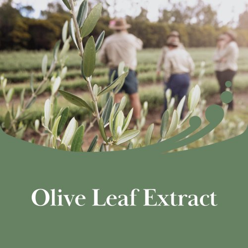 Carousel post from comvita_au.