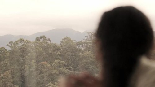 Video post from in2thewild.aus.