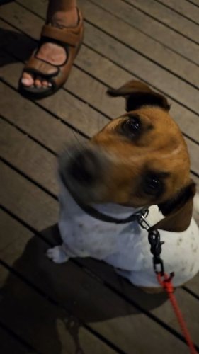 Video post from throttledownunder.