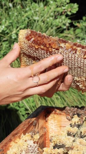 Video post from comvita_au.