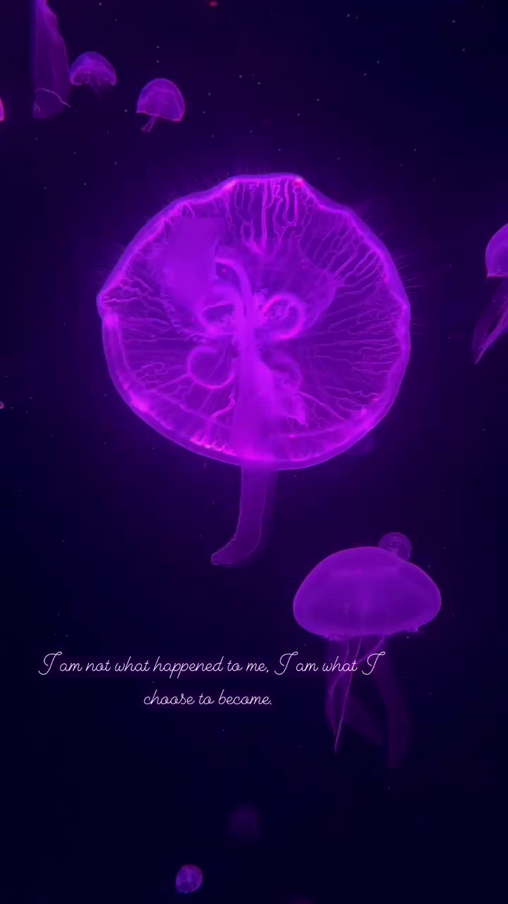 Video post from sylvanali.reiki.andbeyond.