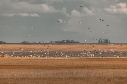 Photo post from northernskiesoutfitters.