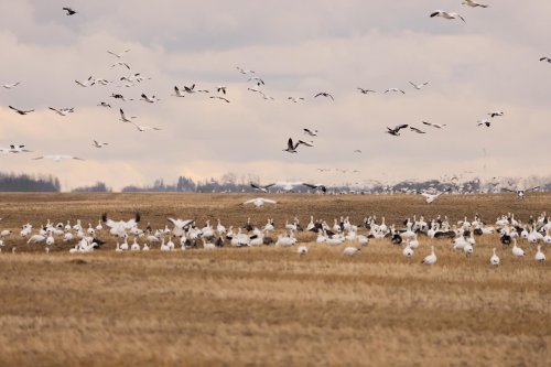 Photo post from northernskiesoutfitters.