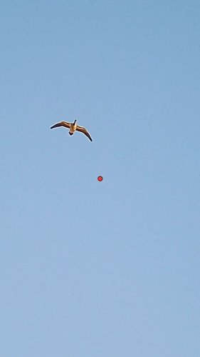 Video post from northernskiesoutfitters.