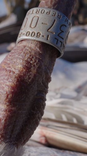 Video post from northernskiesoutfitters.